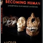 Are Humans Better than Neanderthals?