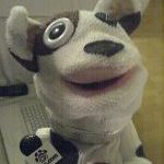 The Evolution of the Pets.com Sock Puppet