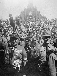 Nazi Rally - People Not as Much in Favor of Single-Payer as Seems